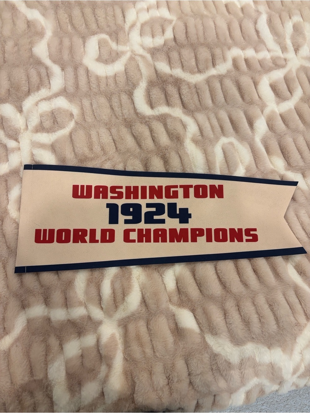 1924 Washington Nationals World Champions Pennant